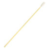 Cleaning Swab Singapore